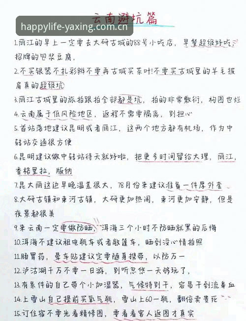 老用户亲测：zidingyi2rkh中国攻略的实战心得与避坑指南
